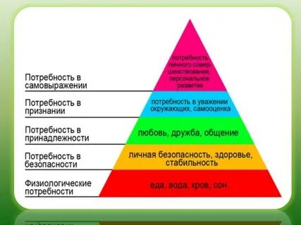 Потребность в продолжении рода какая потребность