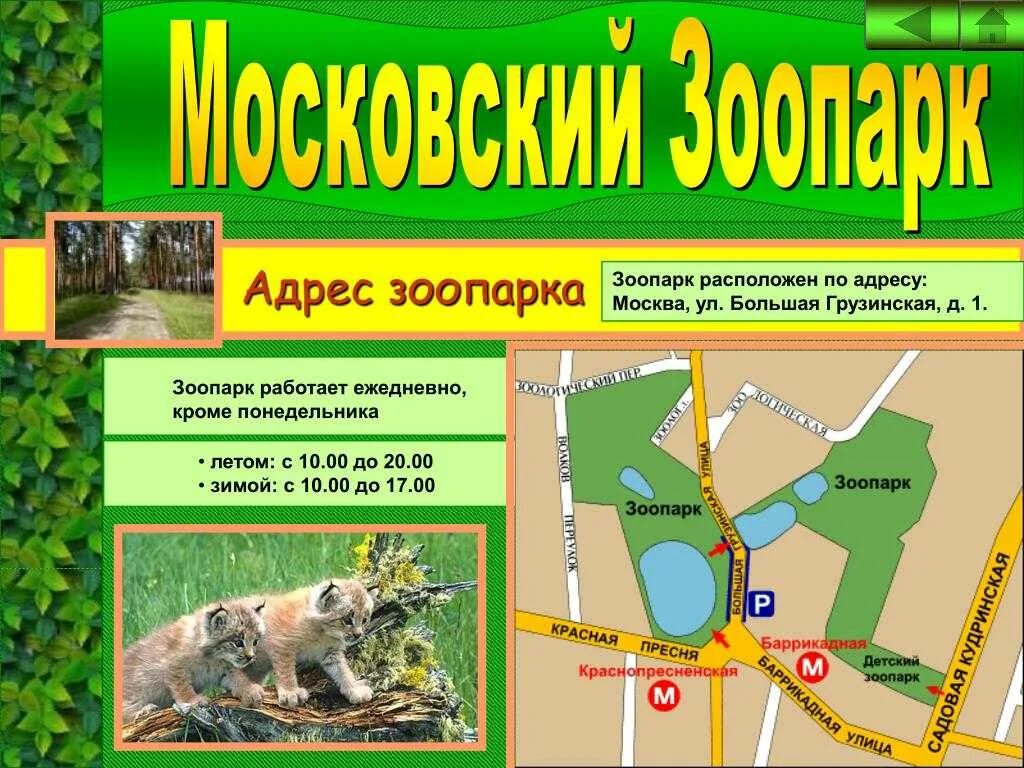 Зоопарк адрес. Брошюра Московский зоопарк. Московский зоопарк Москва. График зоопарк Московский зоопарк.