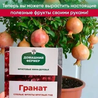 Домашний фермер