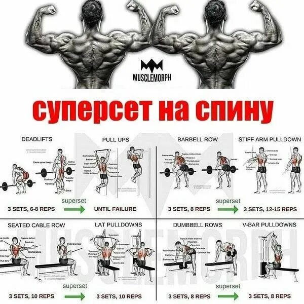 Тренировка спины. Упражнения для тренировки мышц спины в тренажерном зале. Базовые упражнения в тренажерном. Прокачать группу. Прокачать группу.