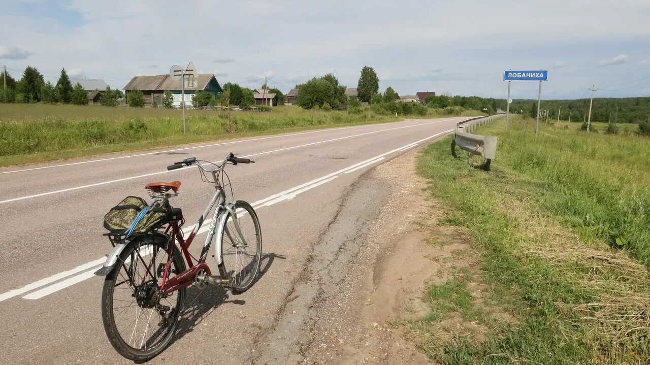 Камчуга Тотемский район. Лобаниха Алтайский край Новичихинский район. Поселок Камчуга Вологодская область. Лобаниха деревня Вологодская область.