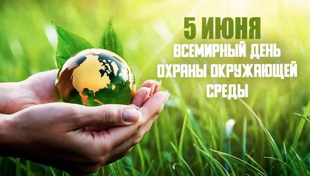Почему важно заботиться об окружающей среде