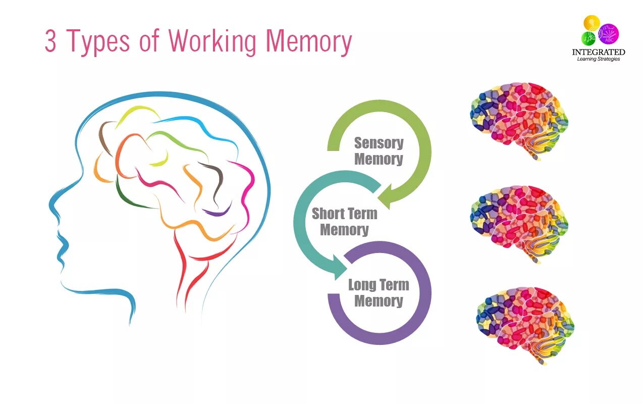 Short memory. Types of Memory. Long term Memory working Memory. Memory Strategies. Long term Memory картинки.