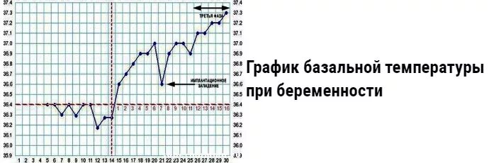 Температура на первых неделях беременности. График БТ при замершей беременности. Базальная температура при беременности. График базальной температуры при беременности. Ректальная температура.