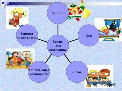 Проект режим дня 2 класс окружающий мир