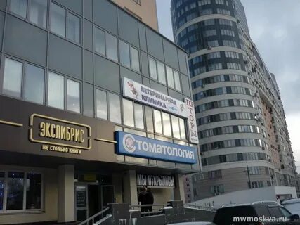 Время вет на братиславской 32