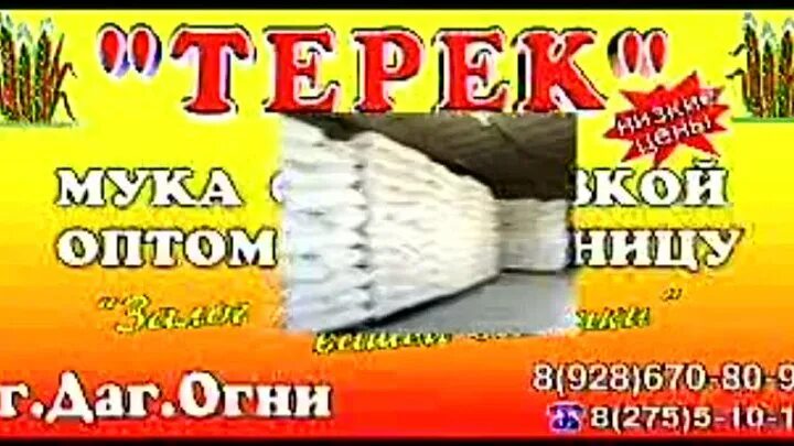 Номер телефона муки. Номер телефона муки. Мука с доставкой дербент. Зеленокумская мука. Мука цельнозерновая ржаная.