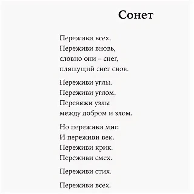 Осп студия - сало. Слова песня сале. Слова песня сале. Тексипесни стол. Иордан текст песни нойз.