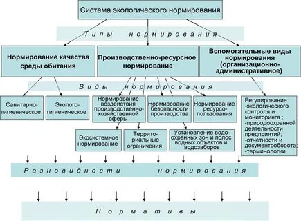 Понятие экологический норматив