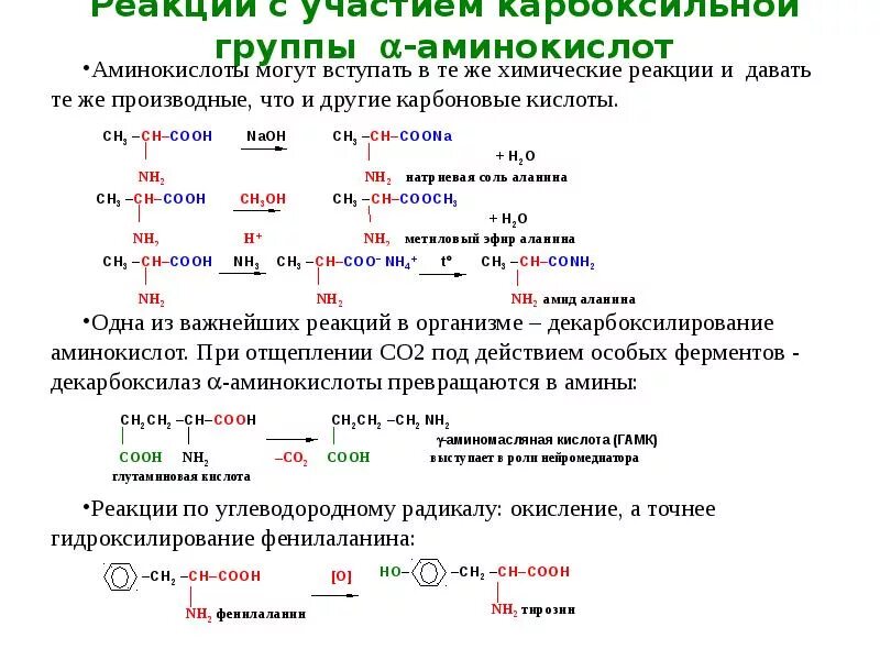 Реакции по карбоксильной группе. Взаимодействие аминокислот с аминами реакция. В реакцию с аминокислотами вступает. Химические реакции аминокислот. Аминокислоты не вступают в реакции:.