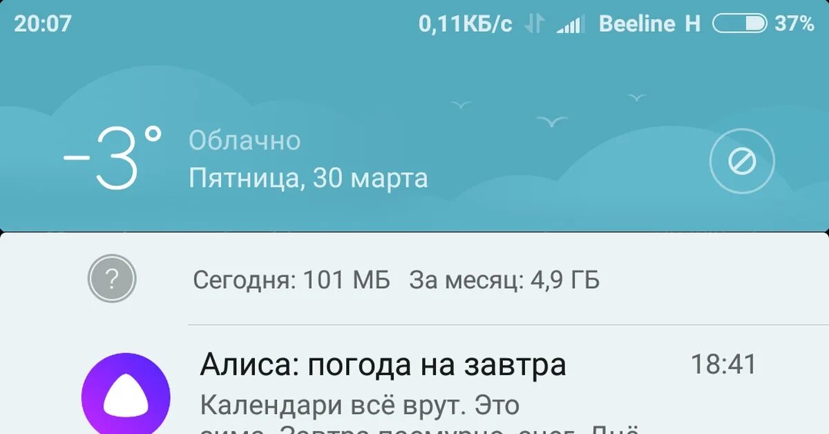 Привет алиса погода. Алиса погода. Алиса погода на завтра. Алиса Алиса погода.