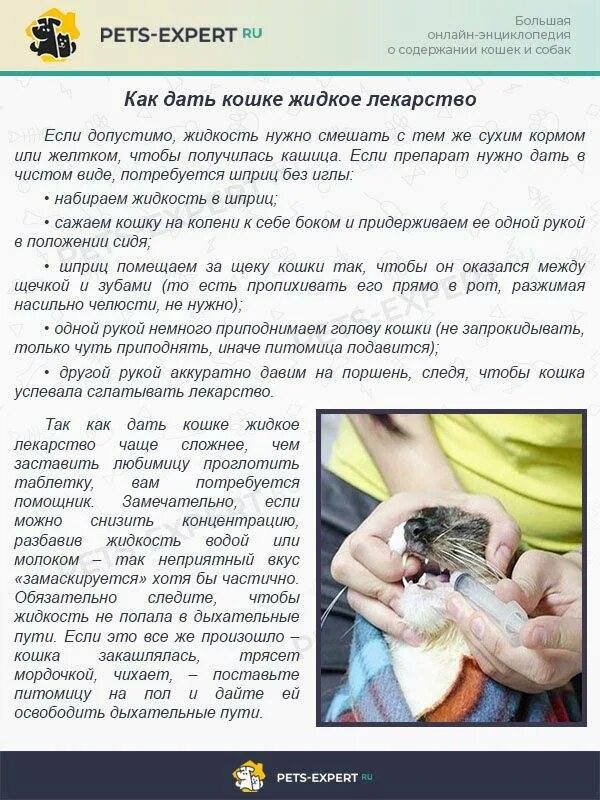 Как кошке дать таблетку если она упирается. Как дать таблетку кошке. кск дать кошке таблетку. как правильно давать таблетки кошкам. как коту дать таблетки правильно.