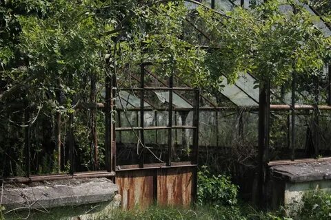 Теплица 22