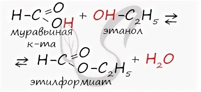 2 изомера этилформиата