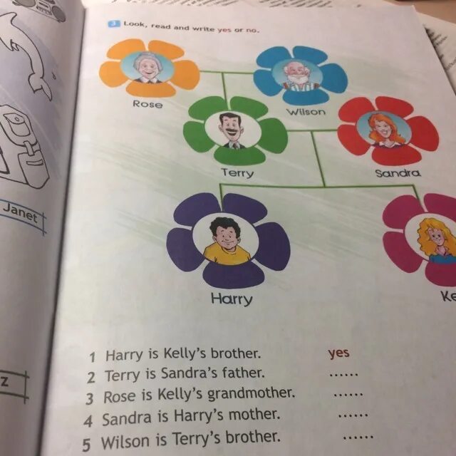 Look and write yes or no. Look and write yes or no