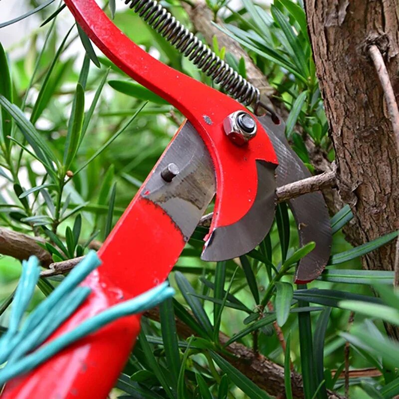 Секатор садовый pruning Shears. Секатор усиленный сучкорез 30 760mm. Сучкорез штанговый высотный садовый. Секатор (кусторез) EPA EKR-01. Купить ножницы для деревьев