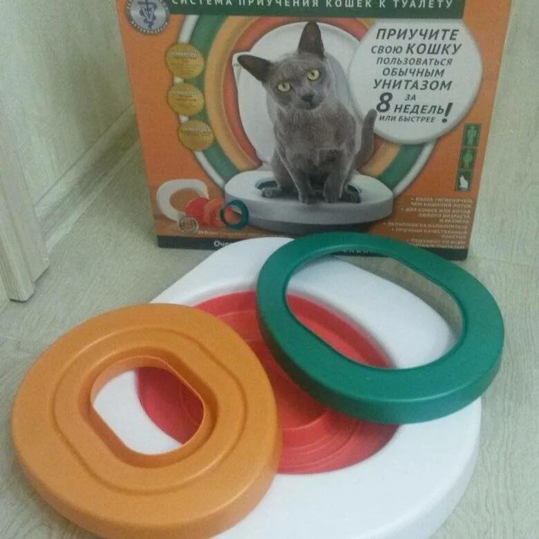 Как приучить кошку к домику