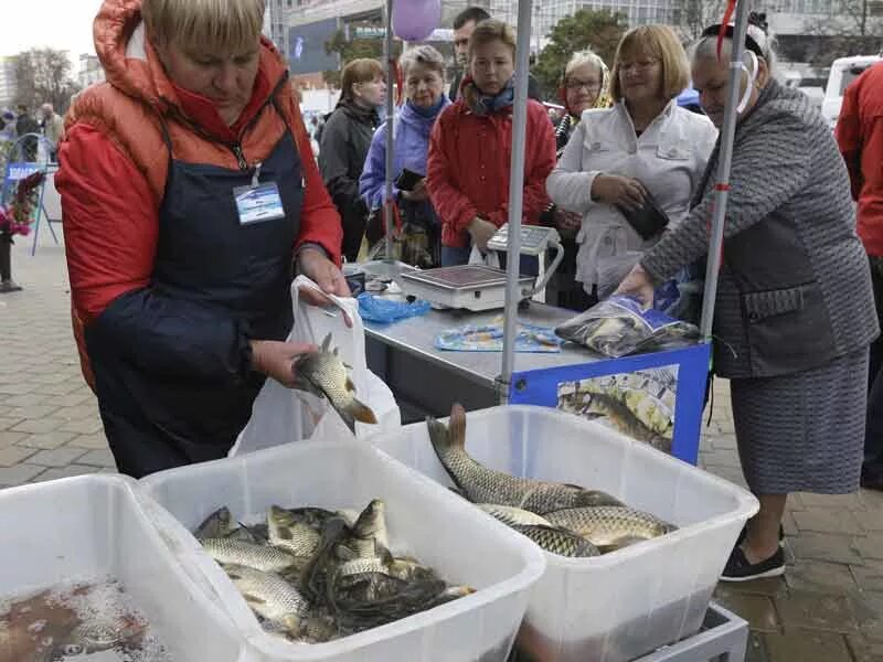 Какая рыба в белоруссии