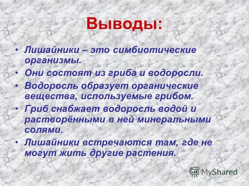 Комплексный организм состоящий из. Лишайники комплексные симбиотические организмы. Вывод о лишайниках. Сообщение лишайники комплексные симбиотические организмы. Лишайники комплексные симбиотические организмы 5 класс.