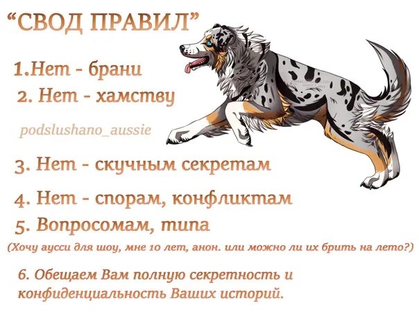 Вес щенка аусси по месяцам таблица Mini Aussie Development Stages Shop