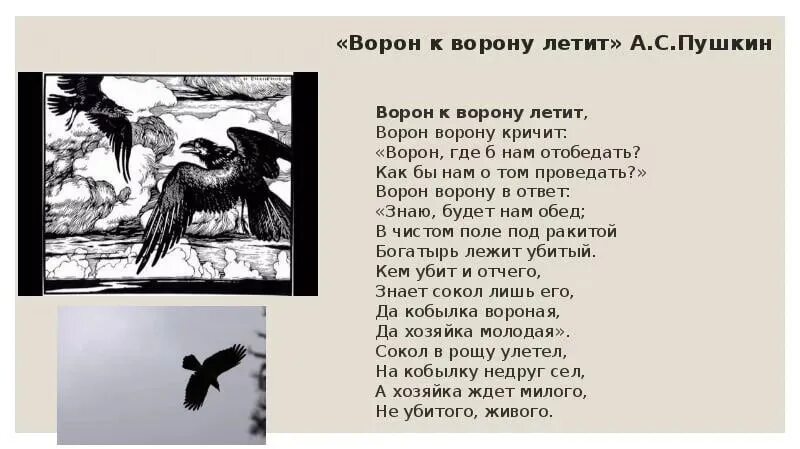Ворон стихотворение Пушкина. Ворон стих Пушкин. Стих Пушкина про ворона. Ворон к ворону летит.