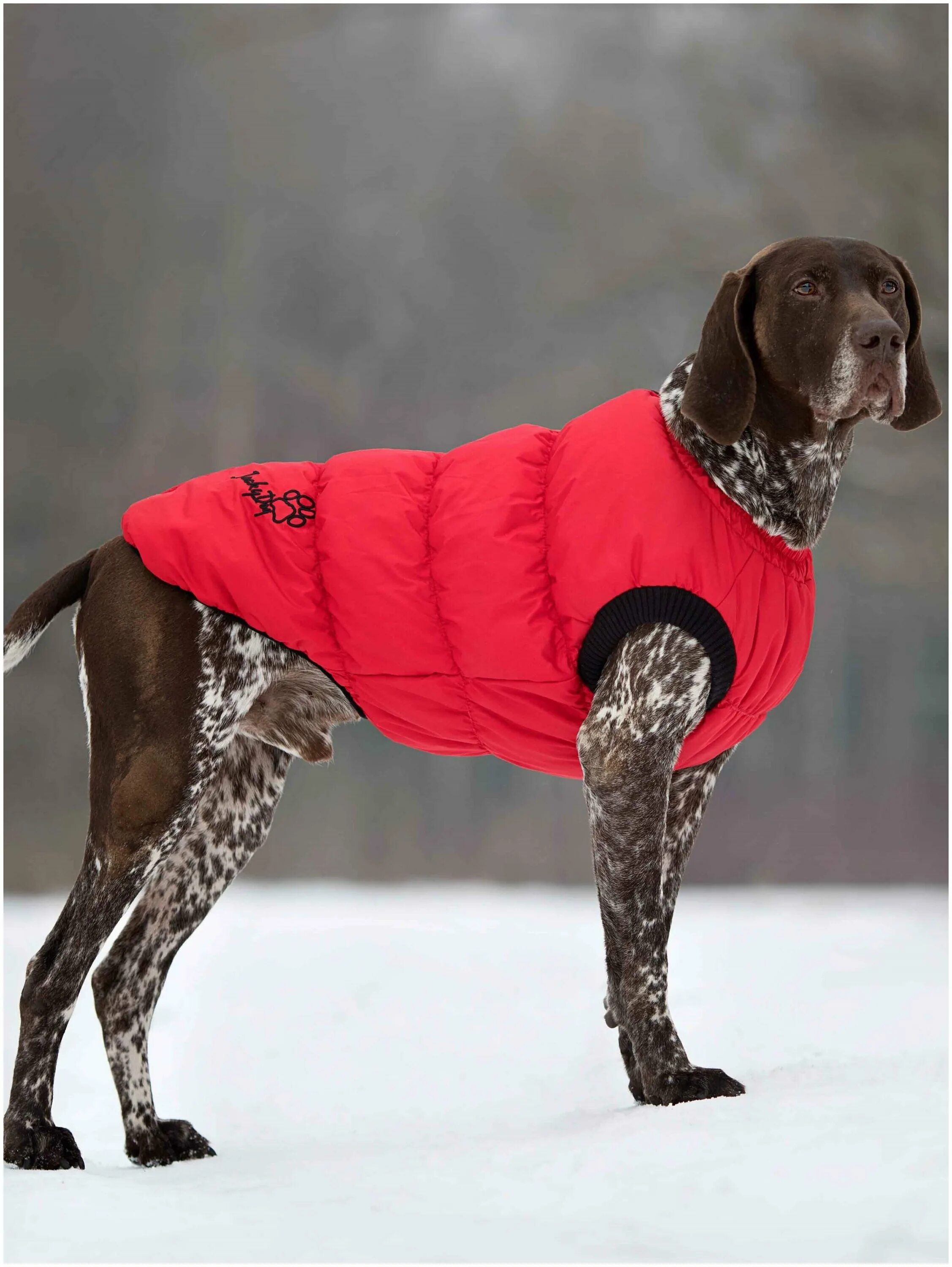 джеки дог. жилет джеки дог синий. флисовая подкладка. джекидог жилет утепленный. джеки дог.