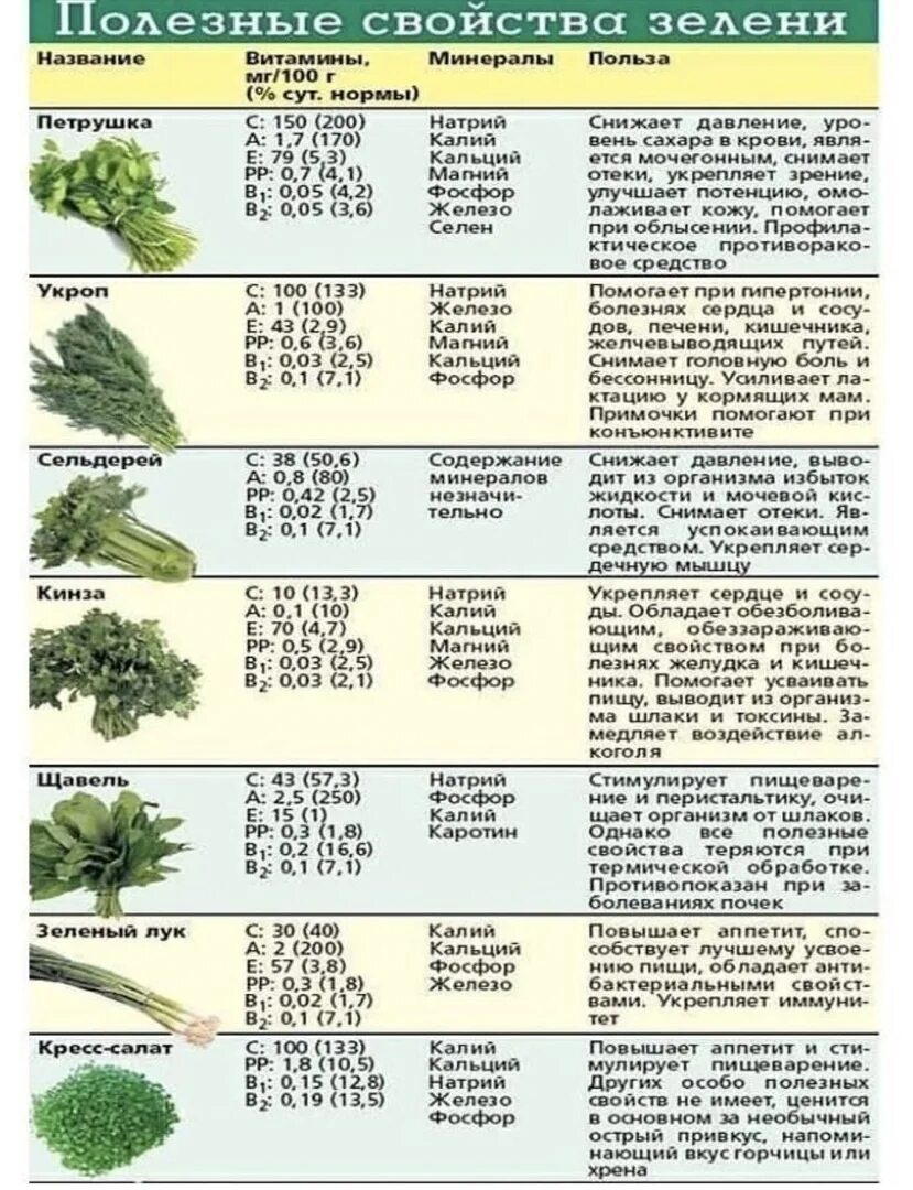 Сроки посева сельдерея. Полезная зелень. Полезные вещества в петрушке. Полезная зелень для организма. Аподезнве вещества в петрушке зелени.