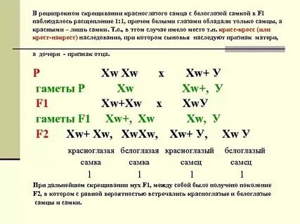 Особи в потомстве которых обнаруживается расщепление называются
