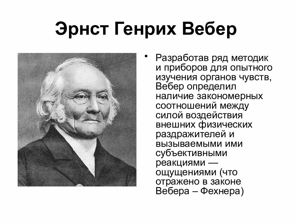 Эрнст Вебер. Вебер физиолог. Немецкие ученые э. Вебер г. Фехнер.. Б г вебер