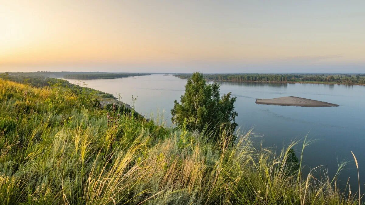 Горы оби. Река Обь в Алтайском крае. Река Обь Елунино. НСО природа Обь. Реки России Обь.