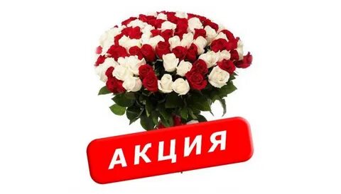 Цветы дисконт