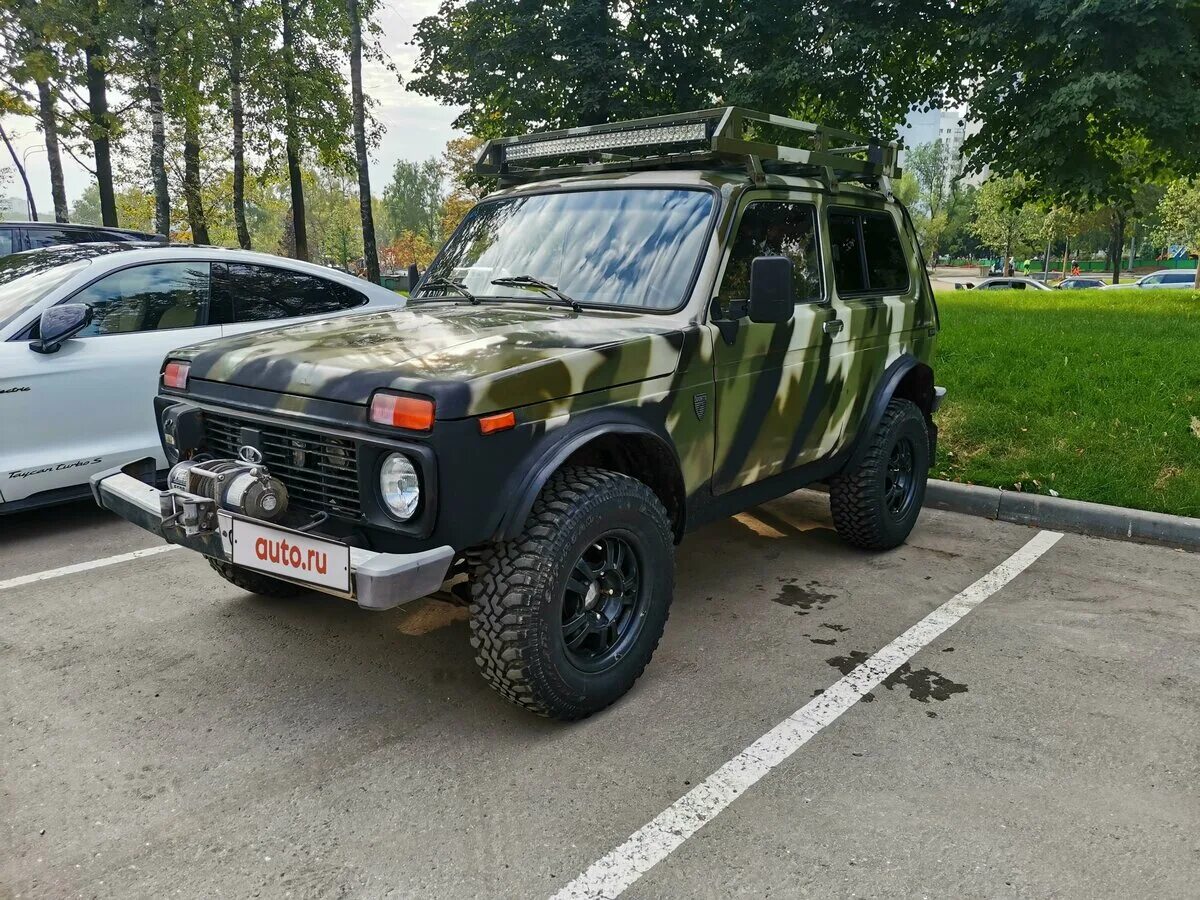 Нива рысь - 78 фото