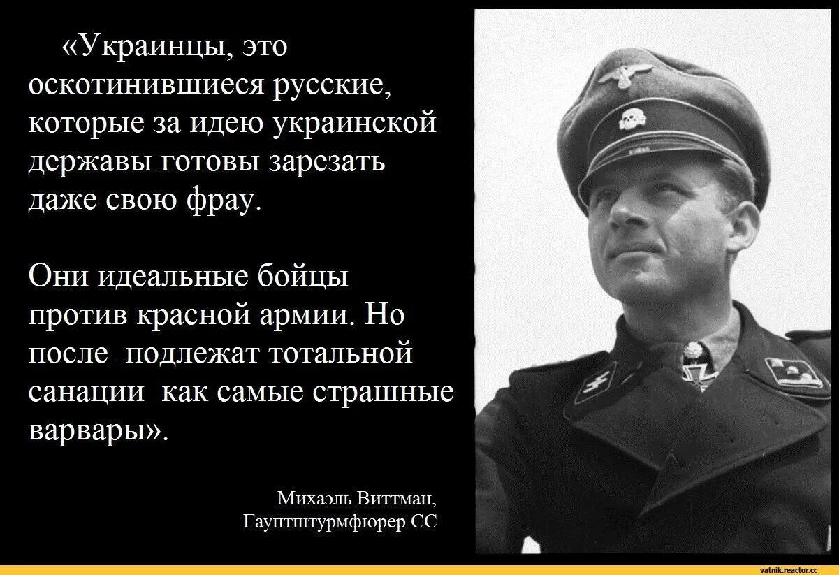 Михаэль Виттман об украинцах. Михаэль Виттманн про украинцев. Михаэль Виттман об украинцах первоисточник. Цитаты немецких генералов.