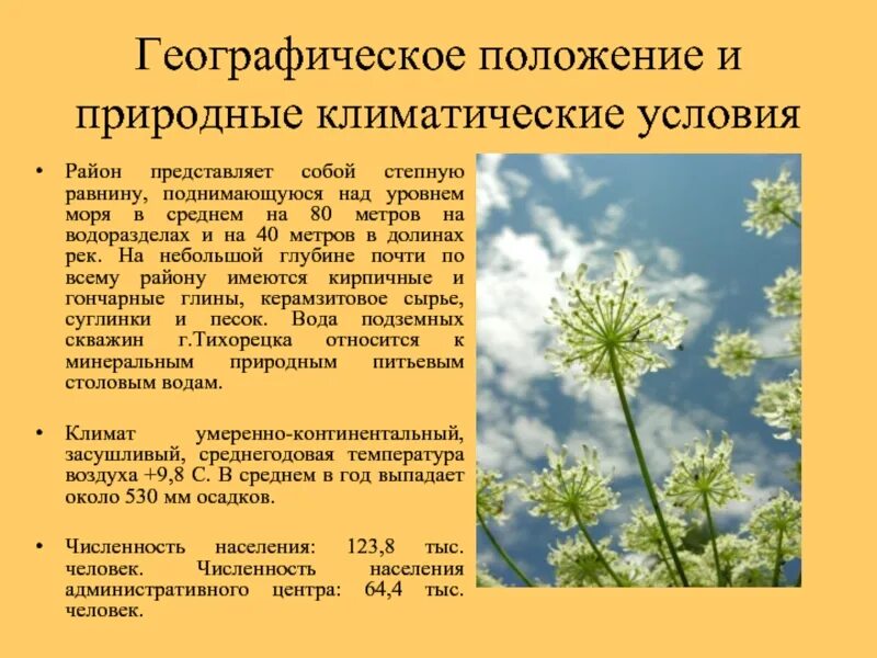 Природно климатические условия в городе иерусалим. Природно-климатические условия примеры. На равнинах Степной части климат. Природно климатические условия Романовского района. На равнинной Степной части климат континентальный опиши.