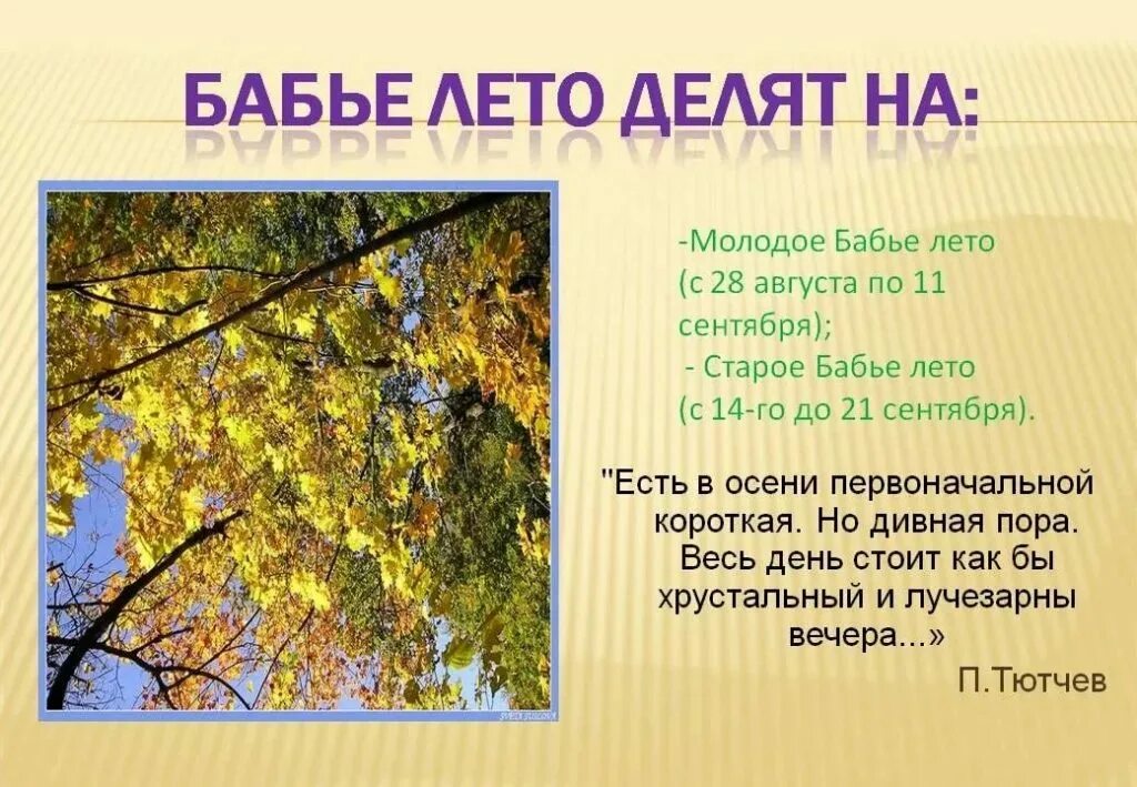 Молодое бабье лето. Когда начинается бабье лето. Бабье лето в России. Пословицы про бабье лето. Бабье лето конспект урока