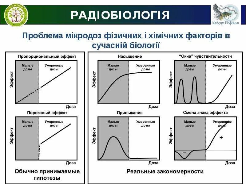 Радиобиология. Кривые выживаемости радиобиология.