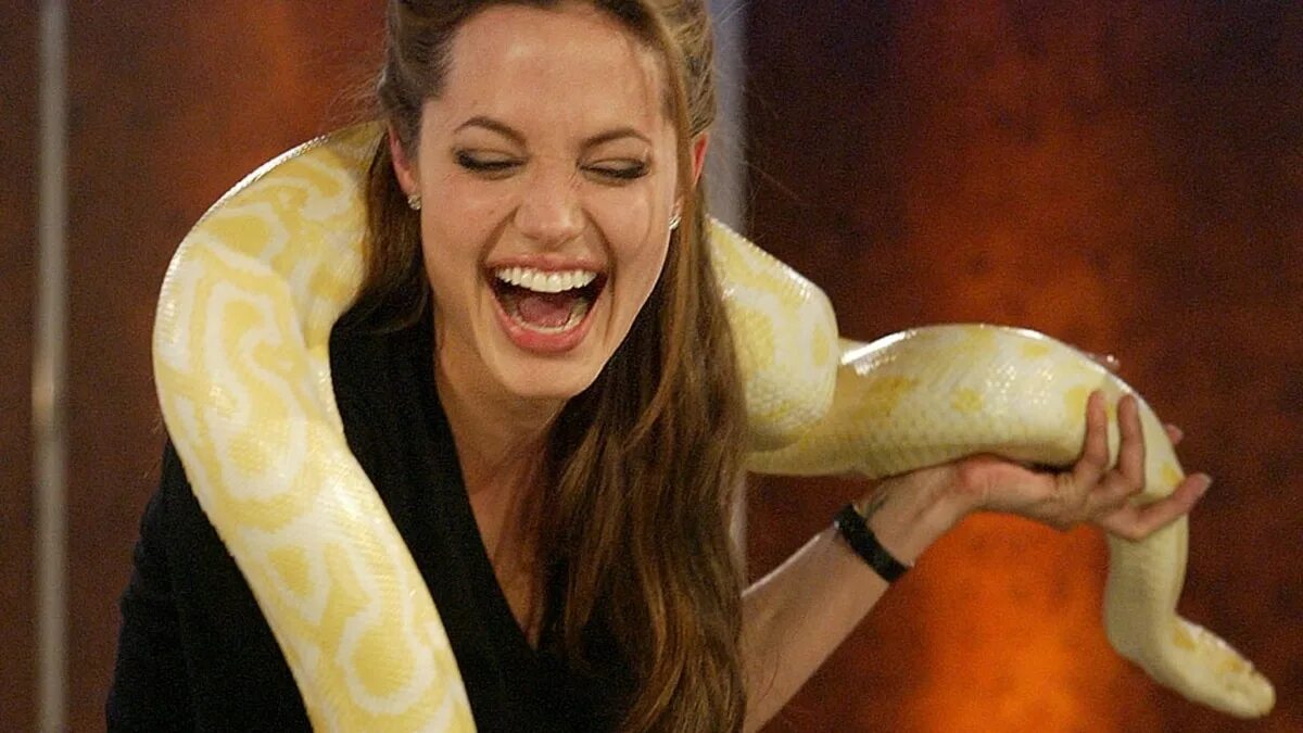 Женщина змея видео. Анджелина Джоли со змеей. Джоли с питоном. Джоли Анджелина змею. Анджелина Джоли с питоном фото.