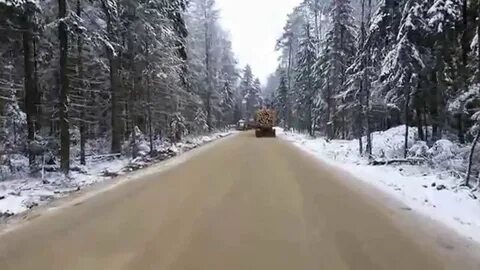 Дорога митино