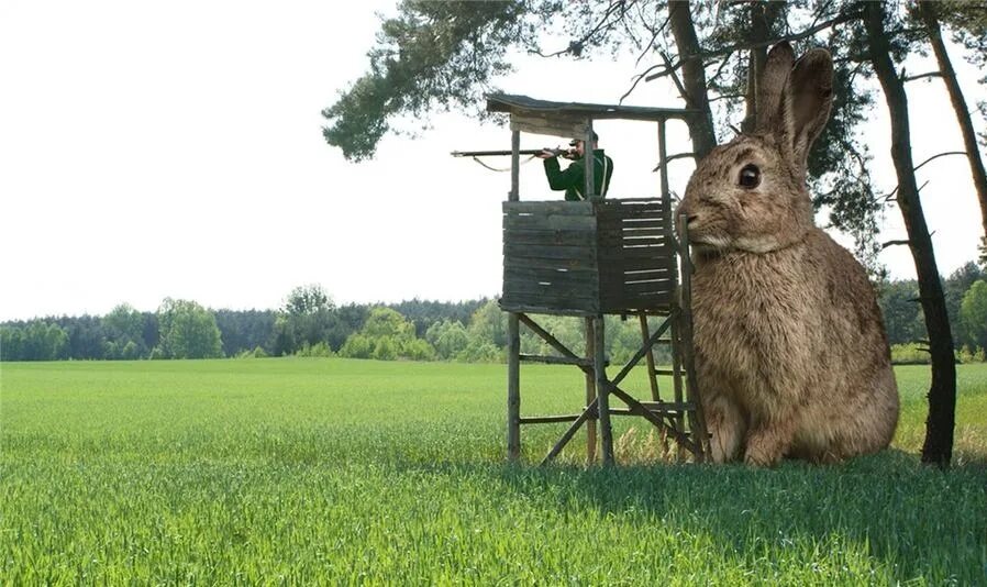 Гонять зайца