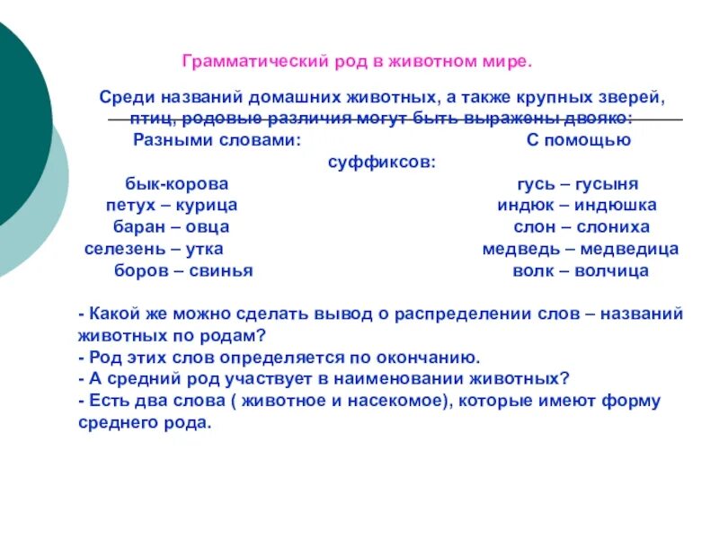 Роды рода различия. Домашнее животное среднего рода. Животное средний род. Грамматический род. Слова среднего рода животные.