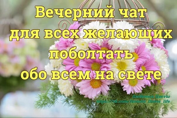Которые сделают ваш день. Как прошёл ваш день. как проходит ваш день. как ваш день. как прошел ваш день картинка.