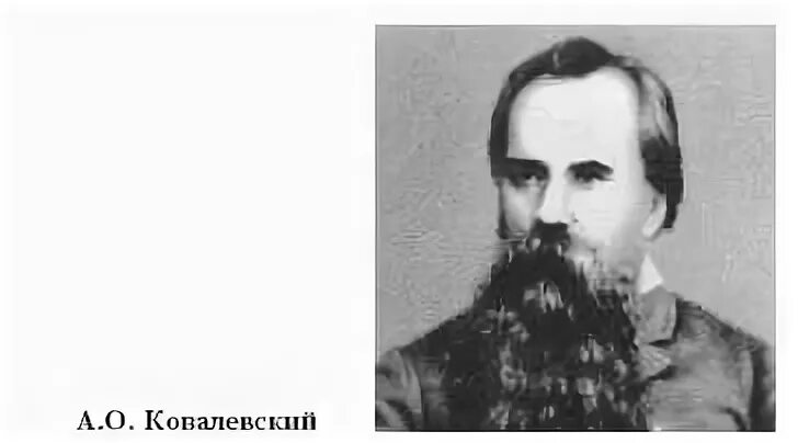 М е ковалевский