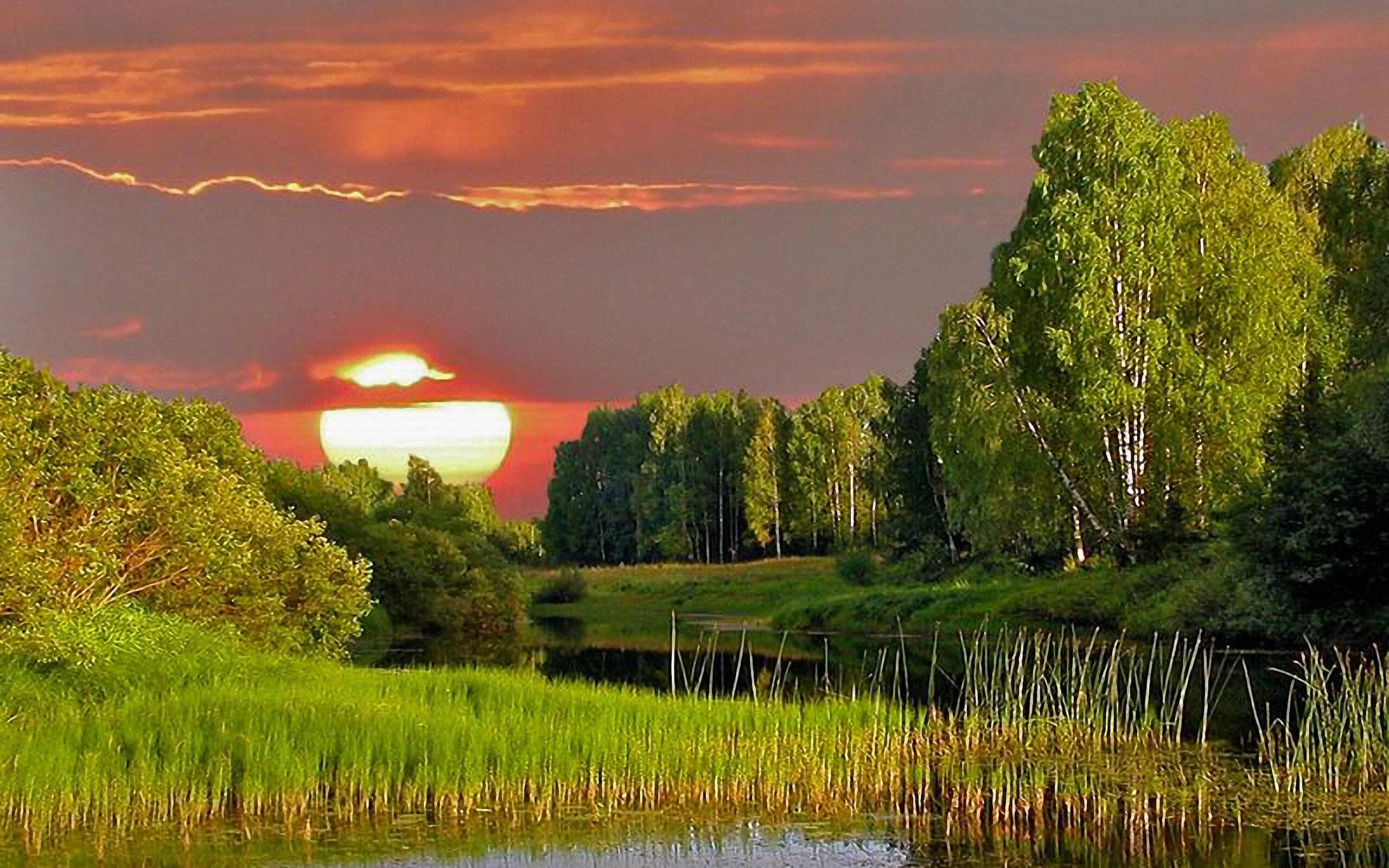 Летний вечер егэ. Фотопейзажи Смоленской области. Юшкевич "родные просторы". Красота русской природы. Пейзажи России.