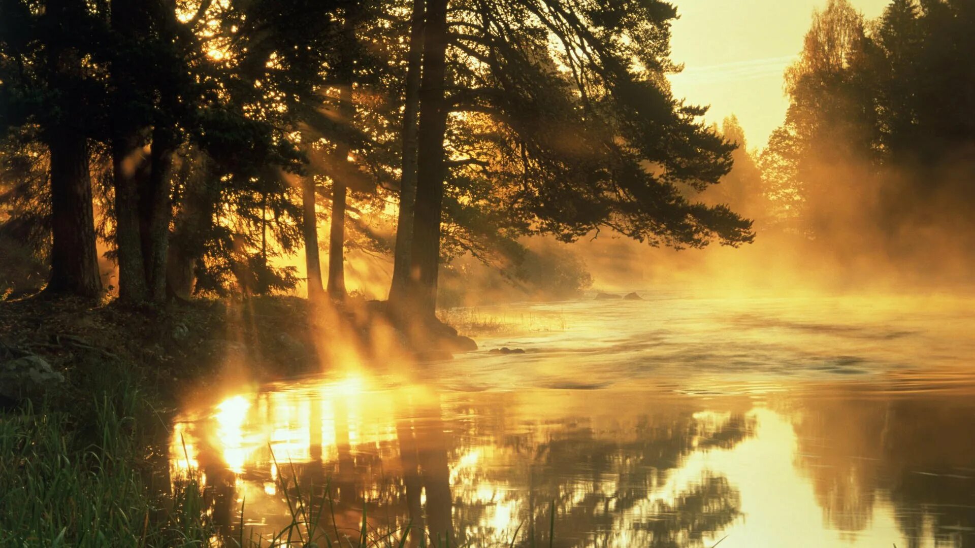 Какая разница группа рассвет. Киш рассвет. Уроки на укулеле для начинающих. Король и шут ноты. Король и шут ноты.