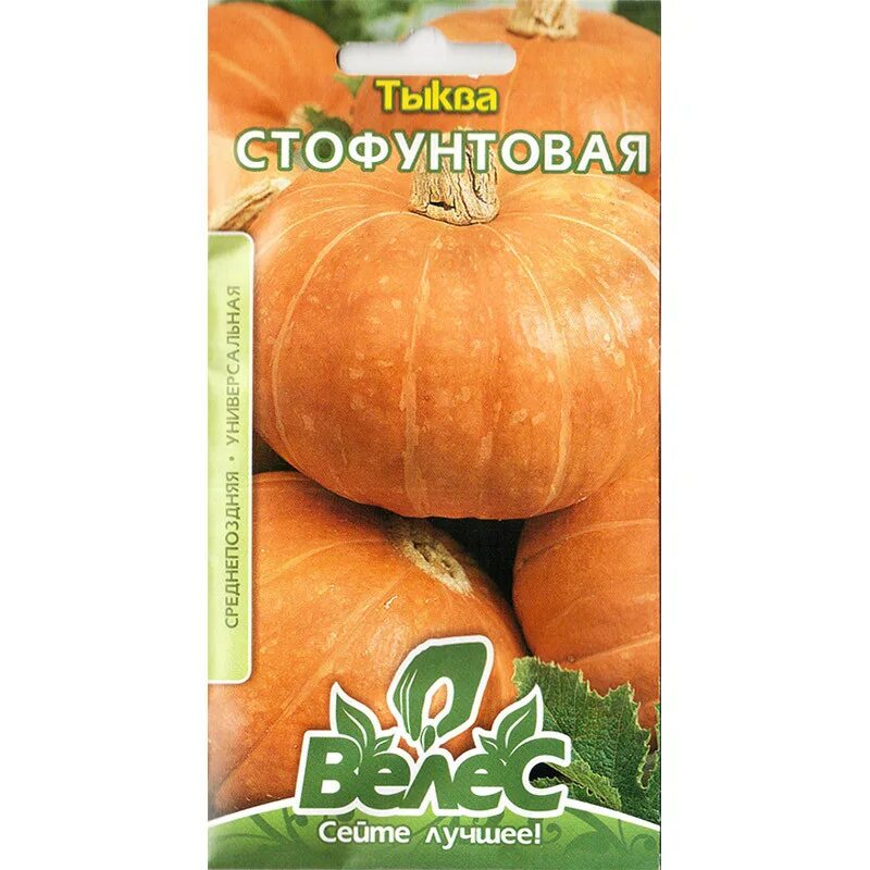 Тыква голосемянная твердокорая. Тыква даная. Тыква голосемянная купить семена. Тыква даная. Тыква мускатная твердокорая.