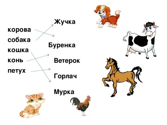 Слова с буквами коне. Клички животных. Имена и клички животных. Клички животных коров. Клички животных клички животных.