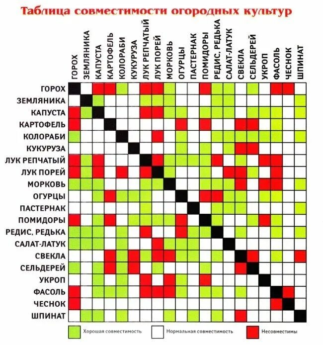 Таблица совместимости на грядке овощных культур. Соседство растений на огороде таблица овощей грядках совместимости. Таблица смешанной посадки овощей. Таблица совмещенных посадок растений на грядке.