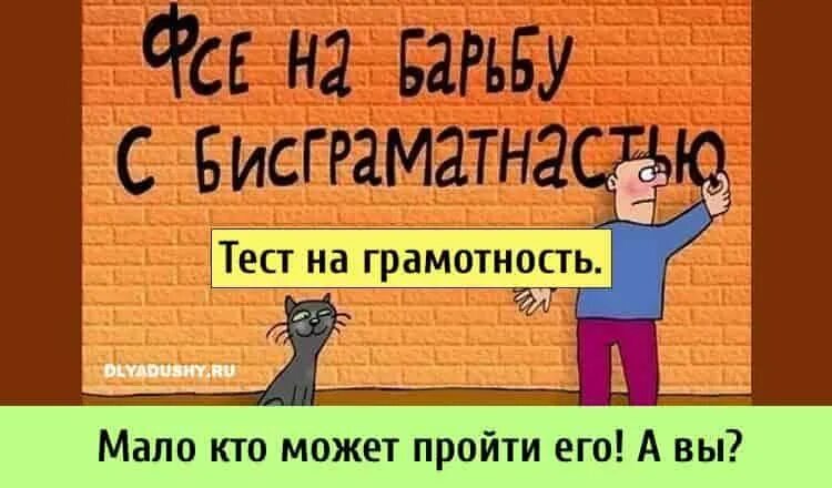 Тест на грамотность. Тест на грамотность картинки. Проверь себя на грамотность. Короткий тест на грамотность.