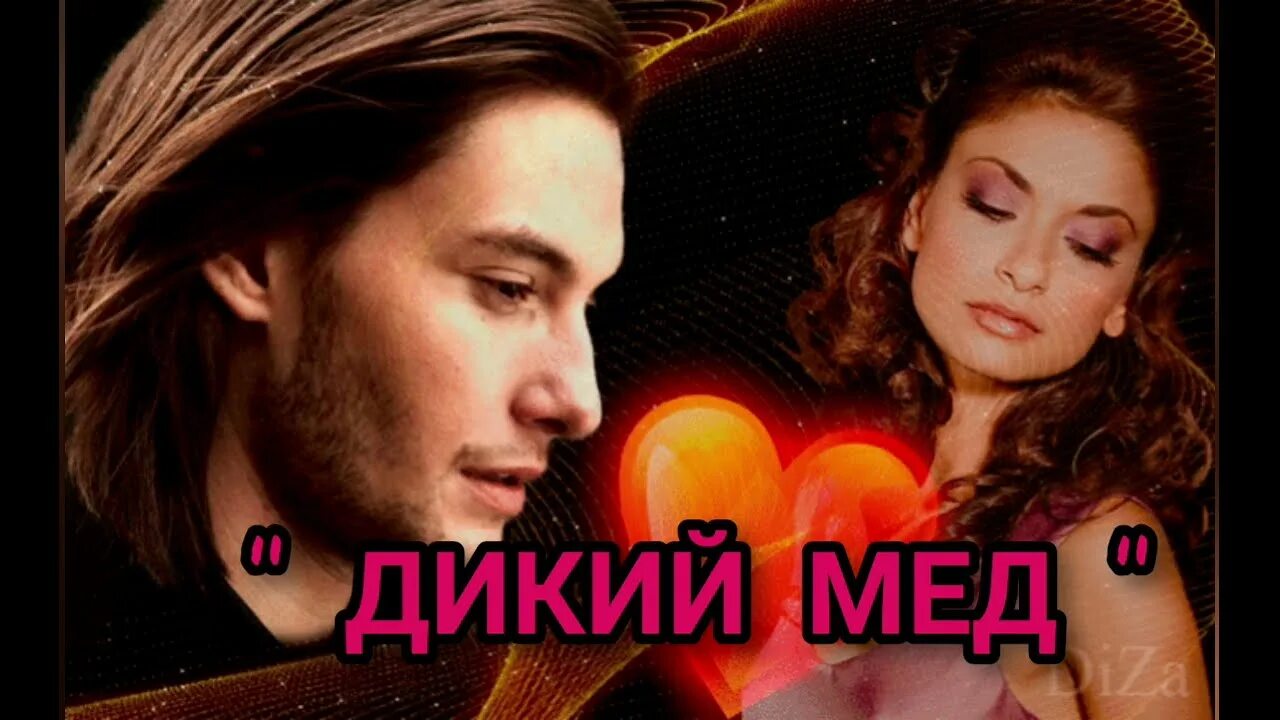 Дикий мед песни. Дикий мед песня. Дикая песня. Дикий мед Энн Мэйджер Озон.