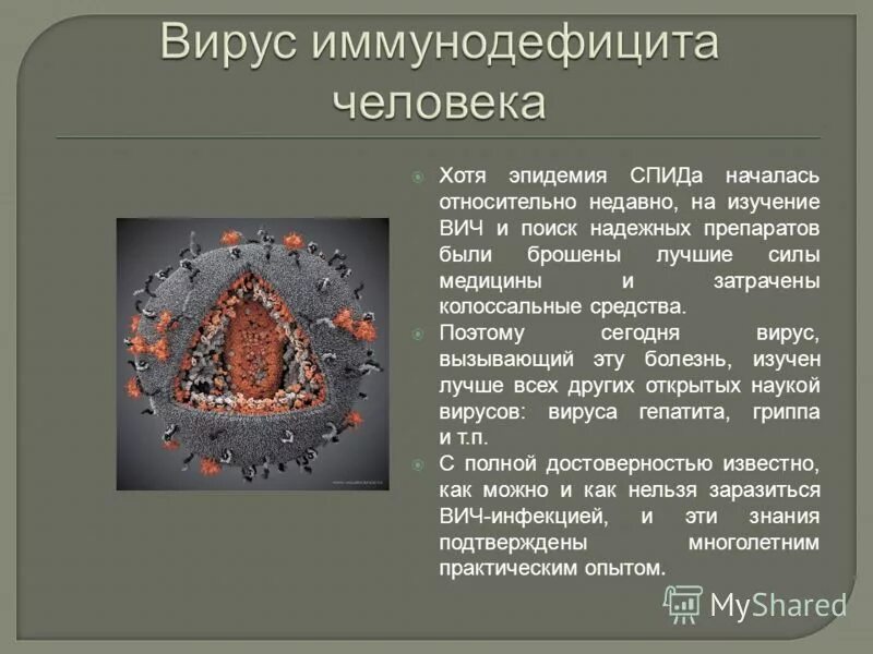 Сейчас какой вирус есть. Смертность от гриппа и коронавируса сравнение. Вирусные заболевания коронавирус. Сейчас какой вирус есть. Сейчас какой вирус есть.